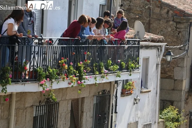 Multitudinario día grande de las fiestas del Noveno en San Felices de los Gallegos / CORRAL