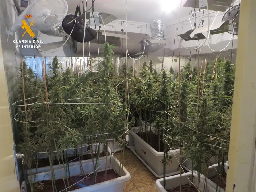 Foto 3 - La &lsquo;Operaci&oacute;n Candelizo&rsquo; de la Guardia Civil dej&oacute; 4 detenidos y 48 kilos de marihuana incautados