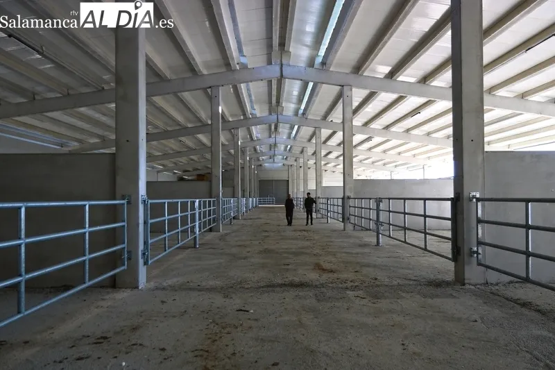 La nueva granja de Dehesa Grande cubrirá las necesidades de sus socios y ganaderos fieles a la cooperativa / CORRAL 