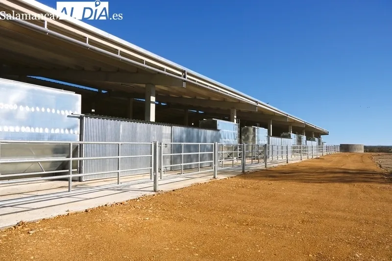 La nueva granja de Dehesa Grande cubrirá las necesidades de sus socios y ganaderos fieles a la cooperativa / CORRAL 