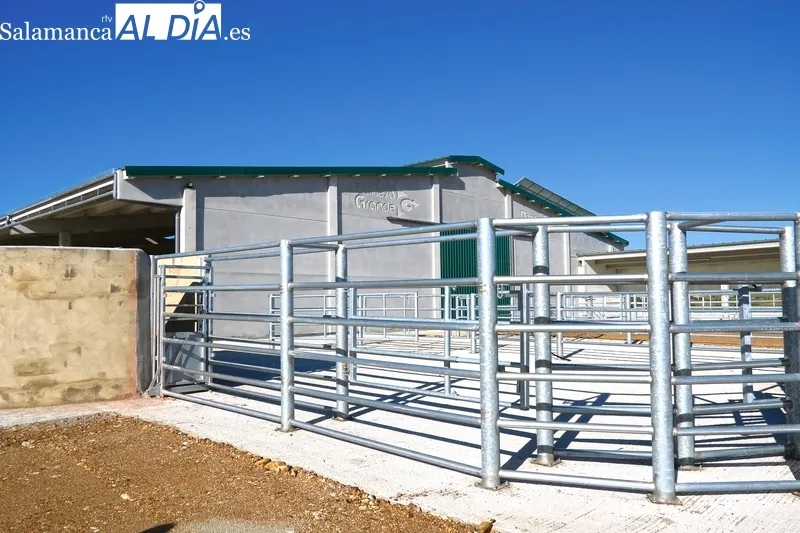 La nueva granja de Dehesa Grande cubrirá las necesidades de sus socios y ganaderos fieles a la cooperativa / CORRAL 