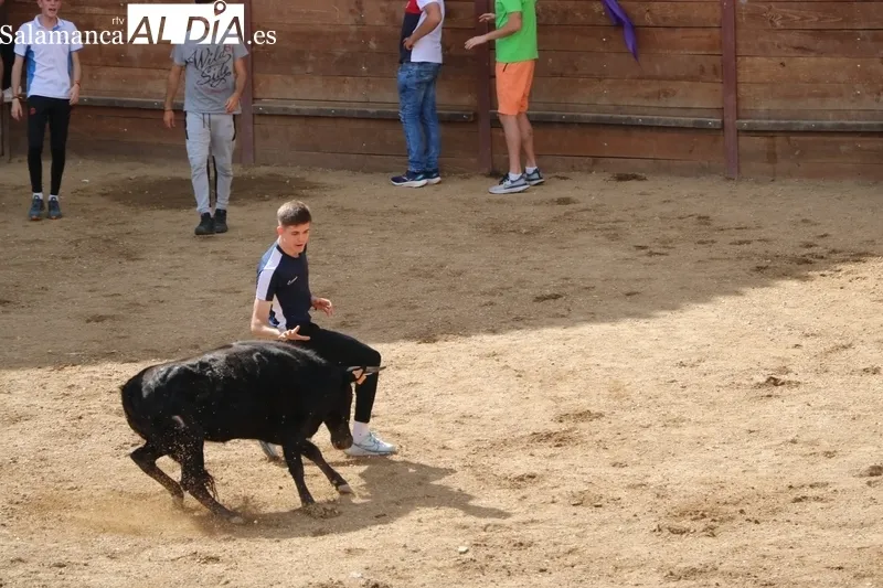 Arrancan las fiestas del Noveno en San Felices de los Gallegos / CORRAL
