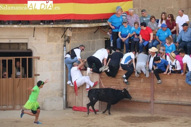 Arrancan las fiestas del Noveno en San Felices de los Gallegos / CORRAL