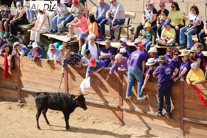 Arrancan las fiestas del Noveno en San Felices de los Gallegos / CORRAL