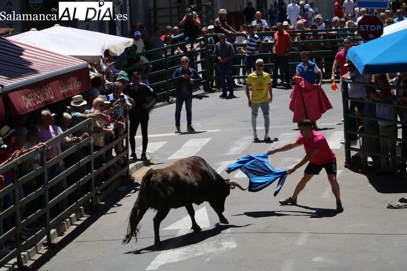 La animación de los bares con la charanga Rotato, y el encierro infantil de carretones salvan el encierro del viernes de Corpus en Vitigudino