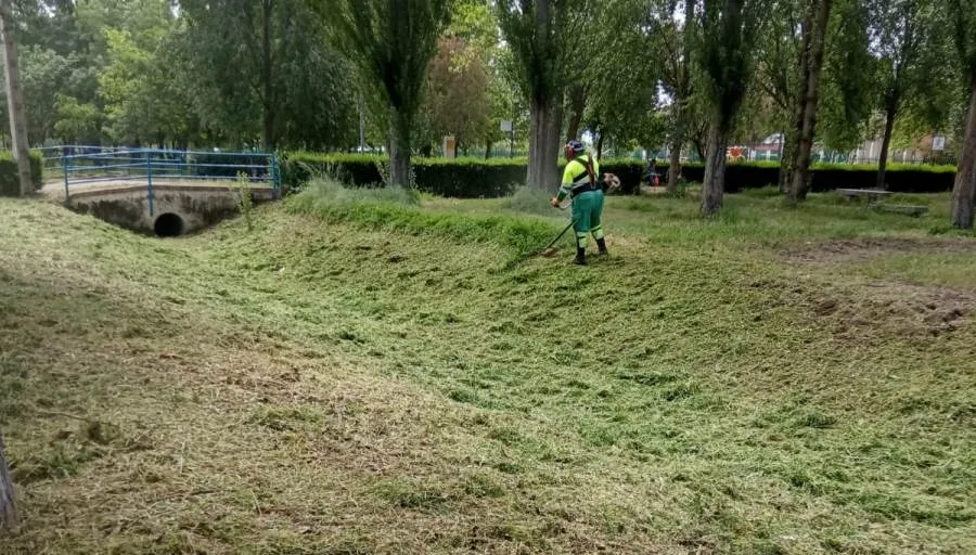 Fotos remitidas por el Equipo de Gobierno de la actual primavera
