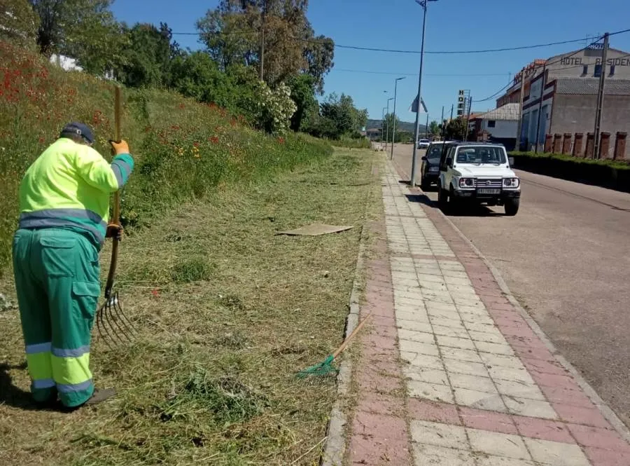 Fotos remitidas por el Equipo de Gobierno de la actual primavera