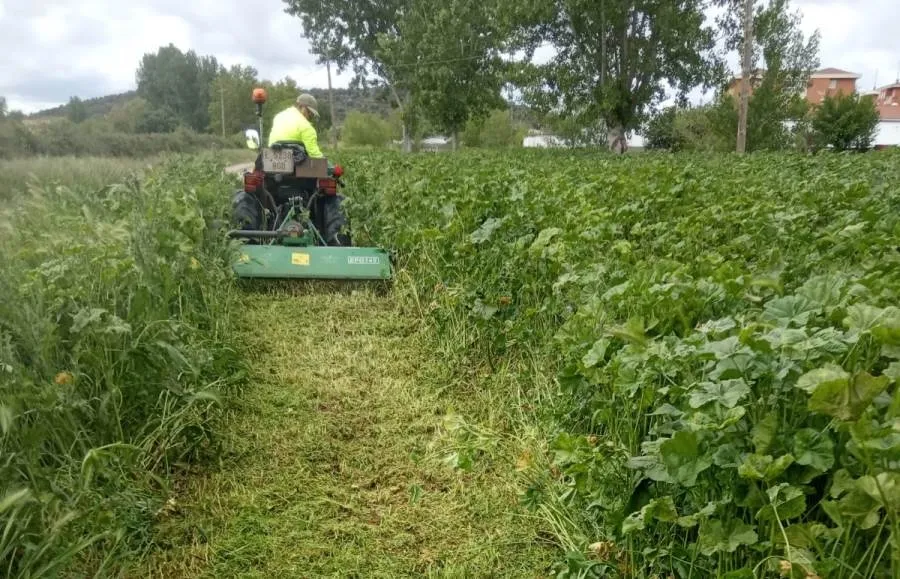 Fotos remitidas por el Equipo de Gobierno de la actual primavera