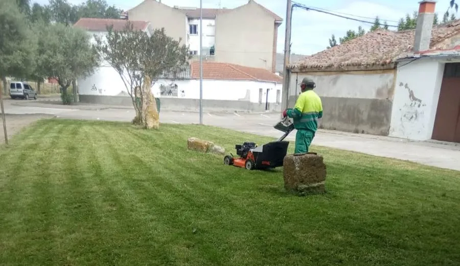 Fotos remitidas por el Equipo de Gobierno de la actual primavera