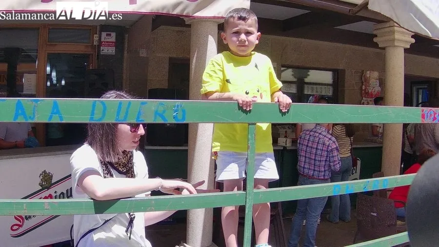 Exitosa bueyada infantil en Vitigudino / CORRAL