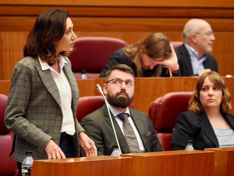 La procuradora de UPL, Alicia Gallego