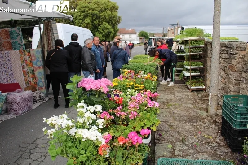 Grana afluencia de público a pesar de lo desapacible del día, ventoso y con algún chubasco / SILVESTRE
