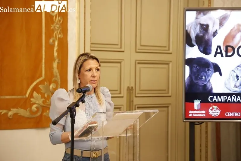 Presentación en el Ayuntamiento del VII Festival ‘Salamanca, cuna del ajedrez moderno’, reunirá a grandes maestros en el Centro Internacional del Español. Foto: David Sañudo