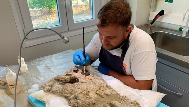 Preparación del cráneo de Asiatosuchus oenotriensis,a cargo de Javier Fernández Martínez. GBE-UNED