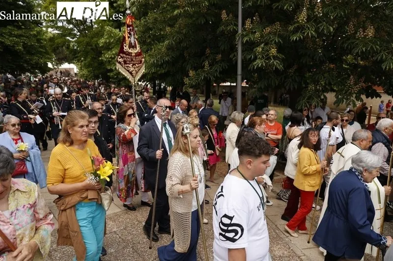 Procesión en honor a la Virgen de La Salud en el barrio Tejares. Fotos: David Sañudo