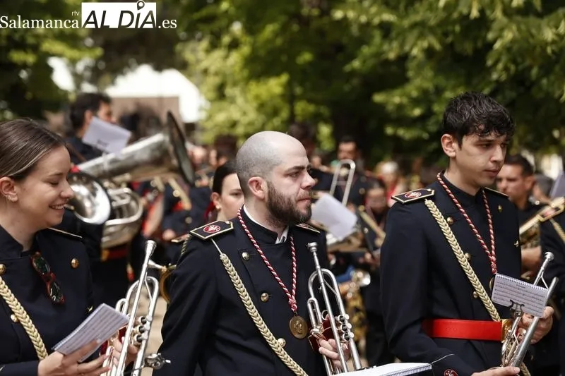 Procesión en honor a la Virgen de La Salud en el barrio Tejares. Fotos: David Sañudo