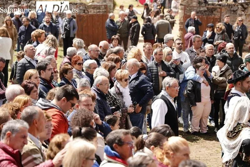 Romería de la Virgen de El Cueto en Matilla de los Caños. Fotos: David Sañudo.