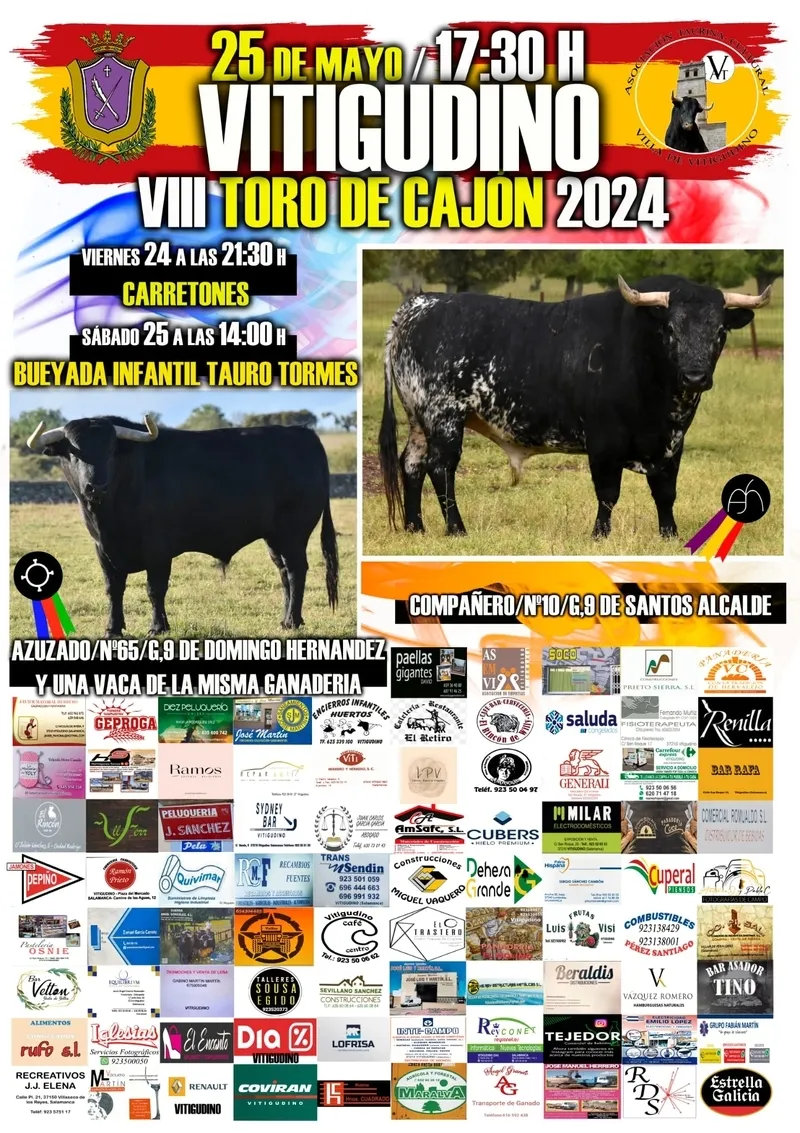 Foto 2 - Una vaca de Domingo Hern&aacute;ndez completa el cartel del VIII Toro de Caj&oacute;n en Vitigudino, mientras los ni&ntilde;os tendr&aacute;n una 'Bueyada infantil'