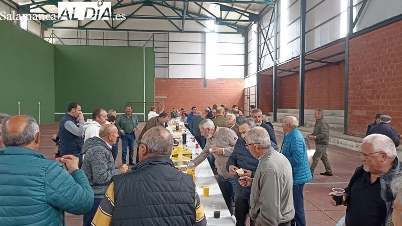 Celebración de San Isidro en Cabeza del Caballo   
