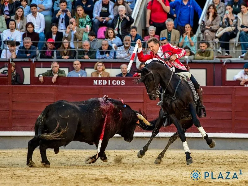 Corrida del Capea en Las Ventas. Fotos: Plaza1 - Las Ventas.