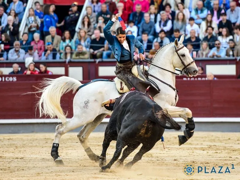 Corrida del Capea en Las Ventas. Fotos: Plaza1 - Las Ventas.