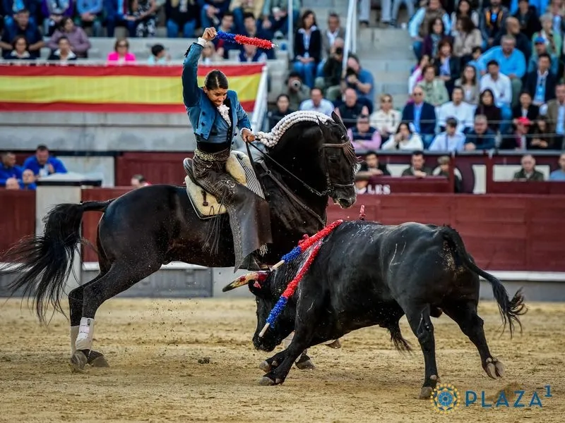 Corrida del Capea en Las Ventas. Fotos: Plaza1 - Las Ventas.