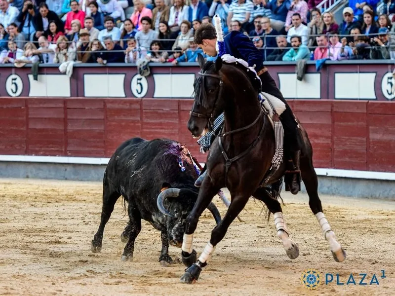 Corrida del Capea en Las Ventas. Fotos: Plaza1 - Las Ventas.