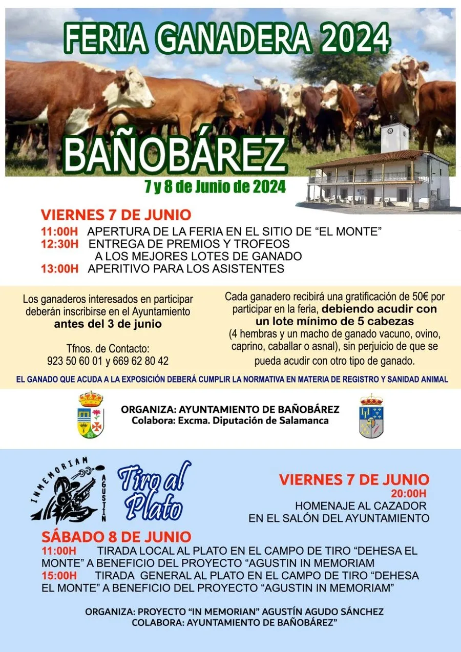 Foto 2 - El Ayuntamiento de Ba&ntilde;ob&aacute;rez  prepara la tradicional feria ganadera del mes de junio