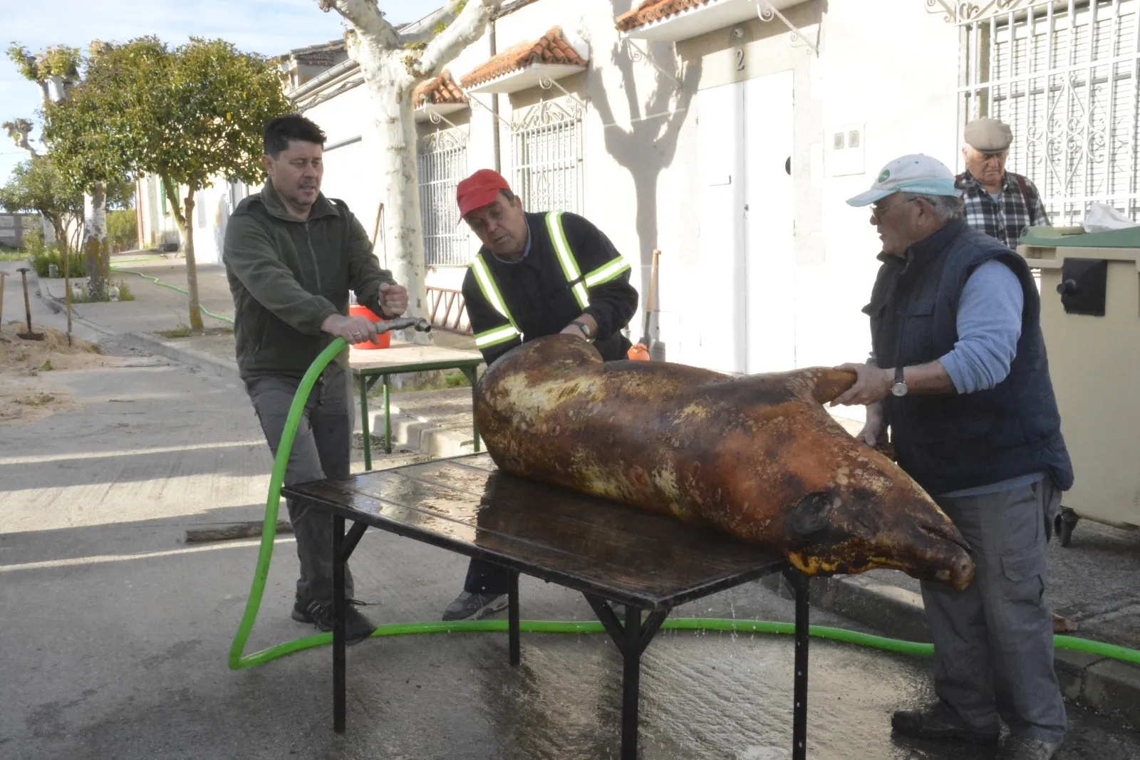 Foto 4 - Cantaracillo se vuelca en su VII Matanza Tradicional