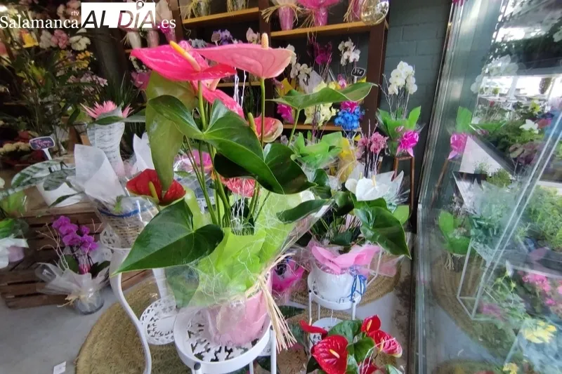 Floristeria Martina esta en el Paseo de la Estación 8 en Peñaranda