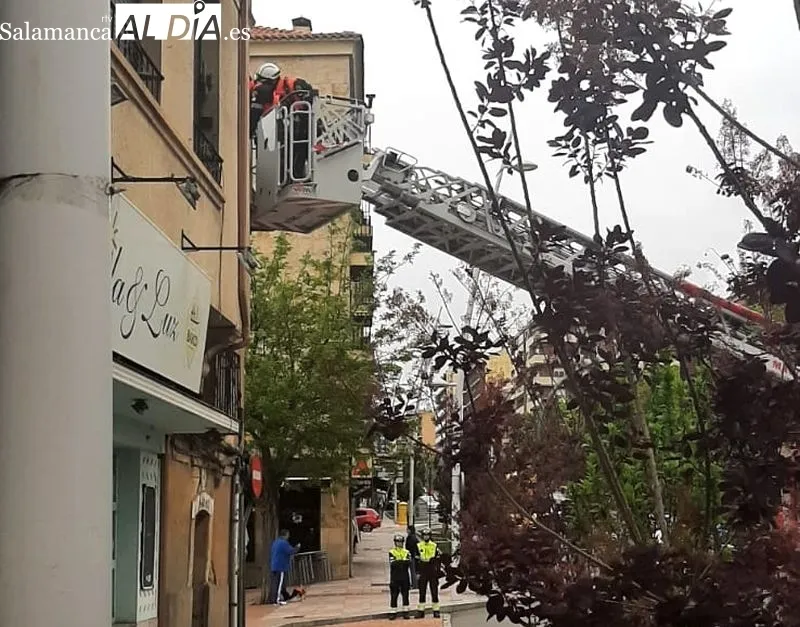 Intervención de los Bomberos en el paseo de Canalejas. Foto: L. L.