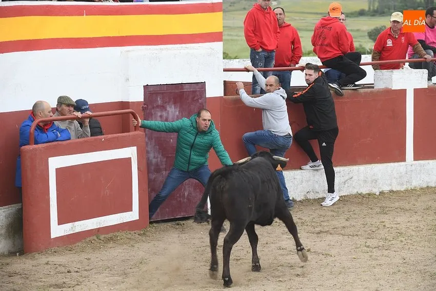 Último día de fiestas de La Santa Cruz en Saelices el Chico/ Fotos:Adrián M.Pastor