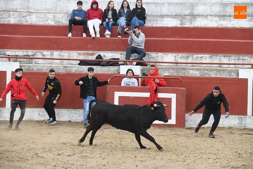 Último día de fiestas de La Santa Cruz en Saelices el Chico/ Fotos:Adrián M.Pastor