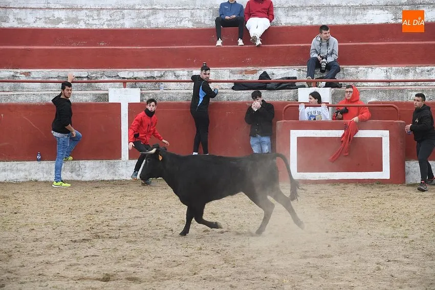 Último día de fiestas de La Santa Cruz en Saelices el Chico/ Fotos:Adrián M.Pastor
