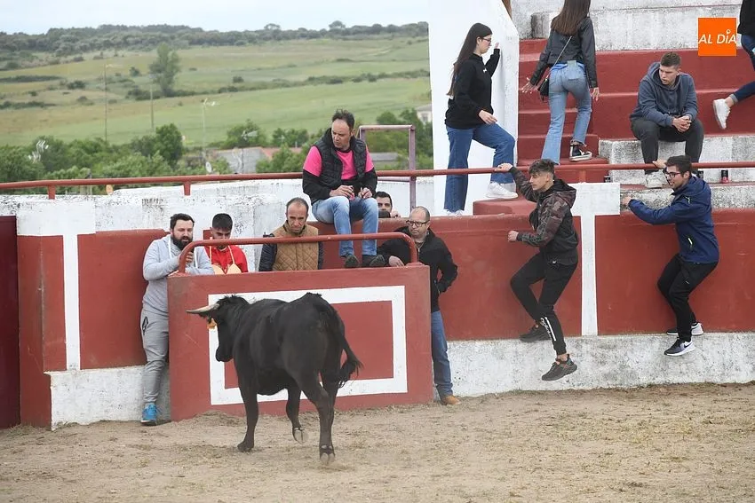 Último día de fiestas de La Santa Cruz en Saelices el Chico/ Fotos:Adrián M.Pastor