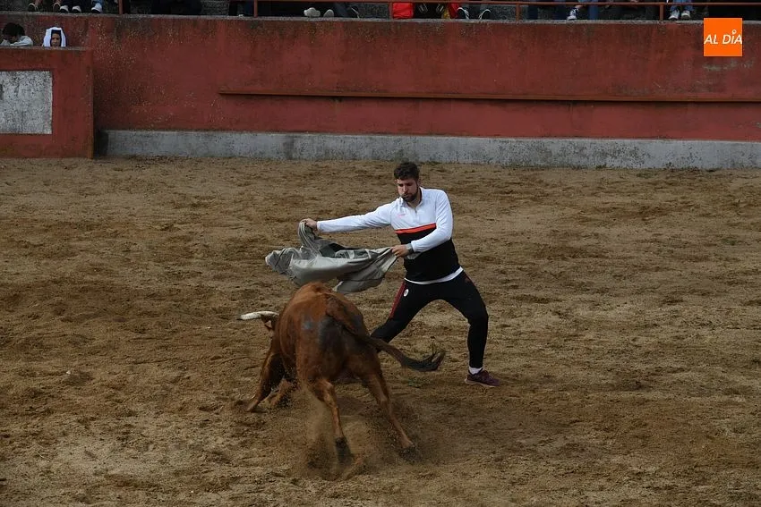 Capea tradicional en el Bodón en La Santa Cruz/ Fotos: Adrián M.Pastor