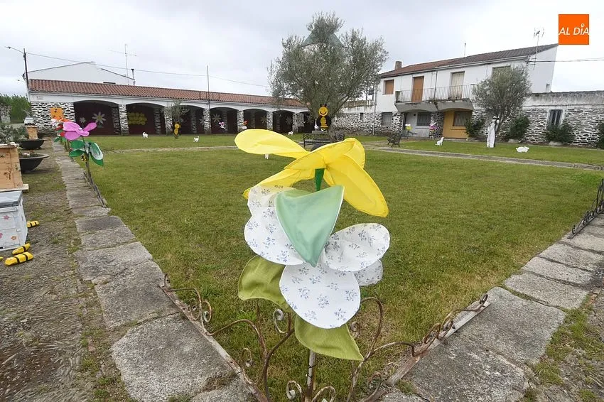 Foto 2 - Las abejas protagonizan la decoraci&oacute;n primaveral del Arrabal de San Sebasti&aacute;n