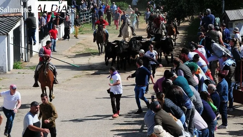 Los encierros a caballo son uno de los grandes atractivos de la fiesta del Noveno