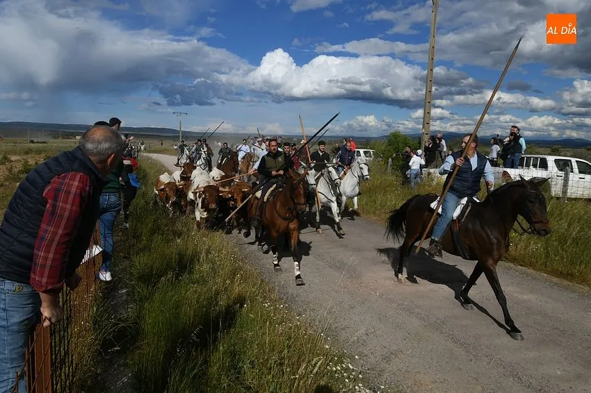 Carpio de Azaba culmina sus fiestas de San Isidro con espectáculos taurinos/ Fotos: Adrián M.Pastor