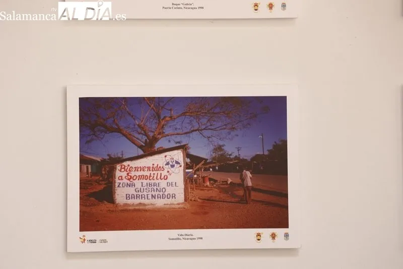 Exposición fotográfica 'Salamanca por el mundo', en el patio del palacio de la Salina. Foto: David Sañudo