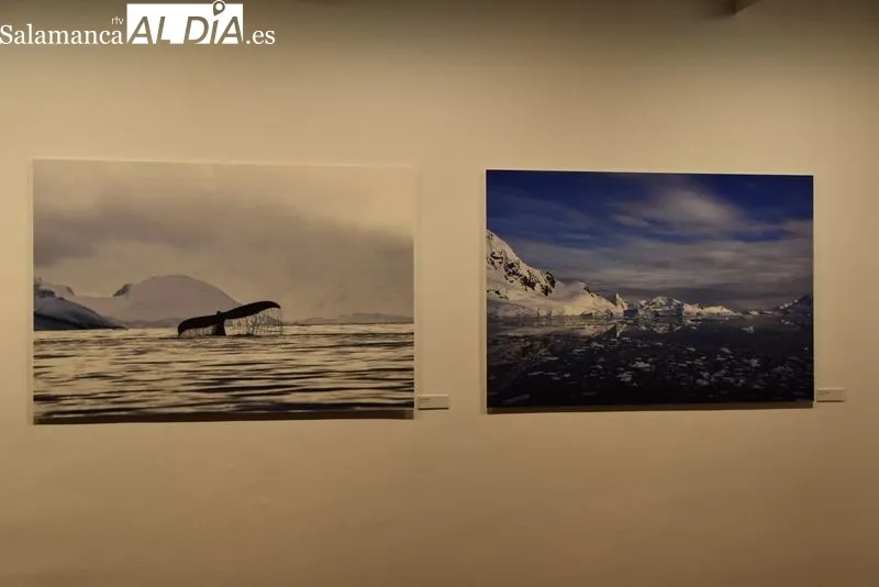 Exposición fotográfica 'En torno al blanco' en la Sala de Exposiciones del Patio de Escuelas Menores. Foto: Vanesa Martins
