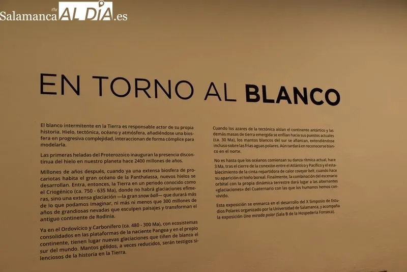 Exposición fotográfica 'En torno al blanco' en la Sala de Exposiciones del Patio de Escuelas Menores. Foto: Vanesa Martins