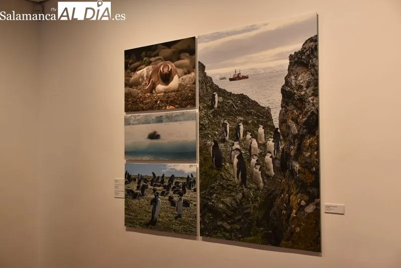Exposición fotográfica 'En torno al blanco' en la Sala de Exposiciones del Patio de Escuelas Menores. Foto: Vanesa Martins