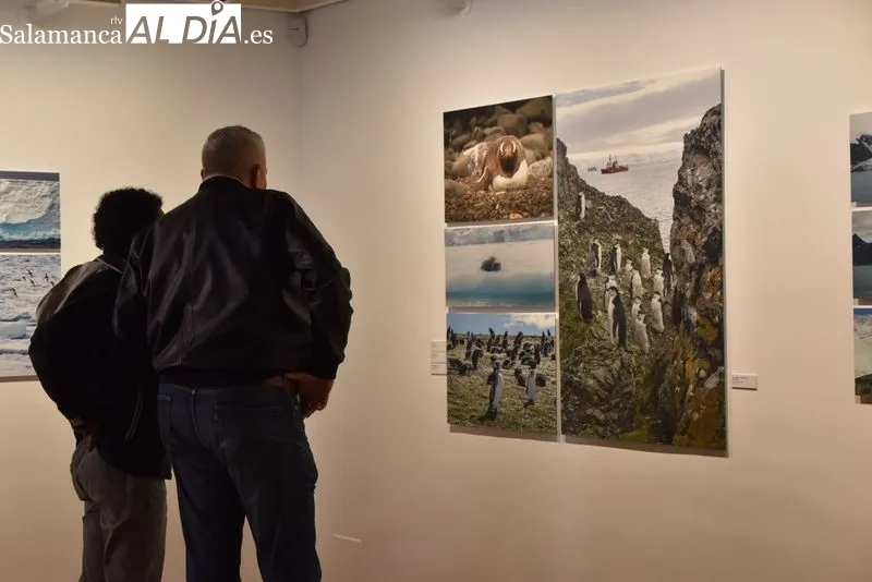 Exposición fotográfica 'En torno al blanco' en la Sala de Exposiciones del Patio de Escuelas Menores. Foto: Vanesa Martins