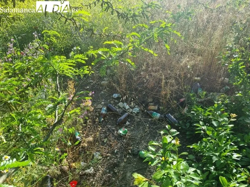 Aspecto de la zona verde junto a la pasarela de Vialia, en el acceso por el paseo de la Estación