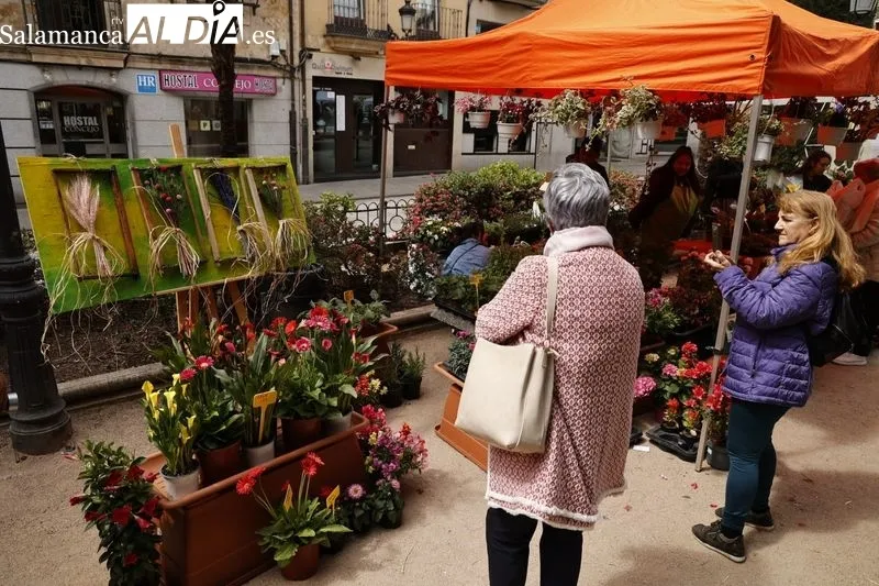 Mercado de las flores en la plaza de la Libertad. Foto: David Sañudio