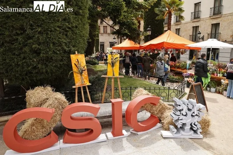 Mercado de las flores en la plaza de la Libertad. Foto: David Sañudio