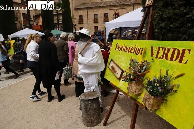 Mercado de las flores en la plaza de la Libertad. Foto: David Sañudio