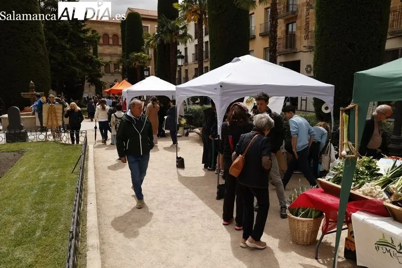Mercado de las flores en la plaza de la Libertad. Foto: David Sañudio