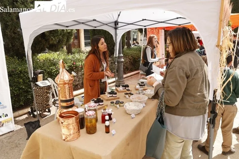 Mercado de las flores en la plaza de la Libertad. Foto: David Sañudio